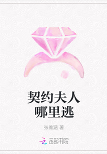 契约夫人哪里逃